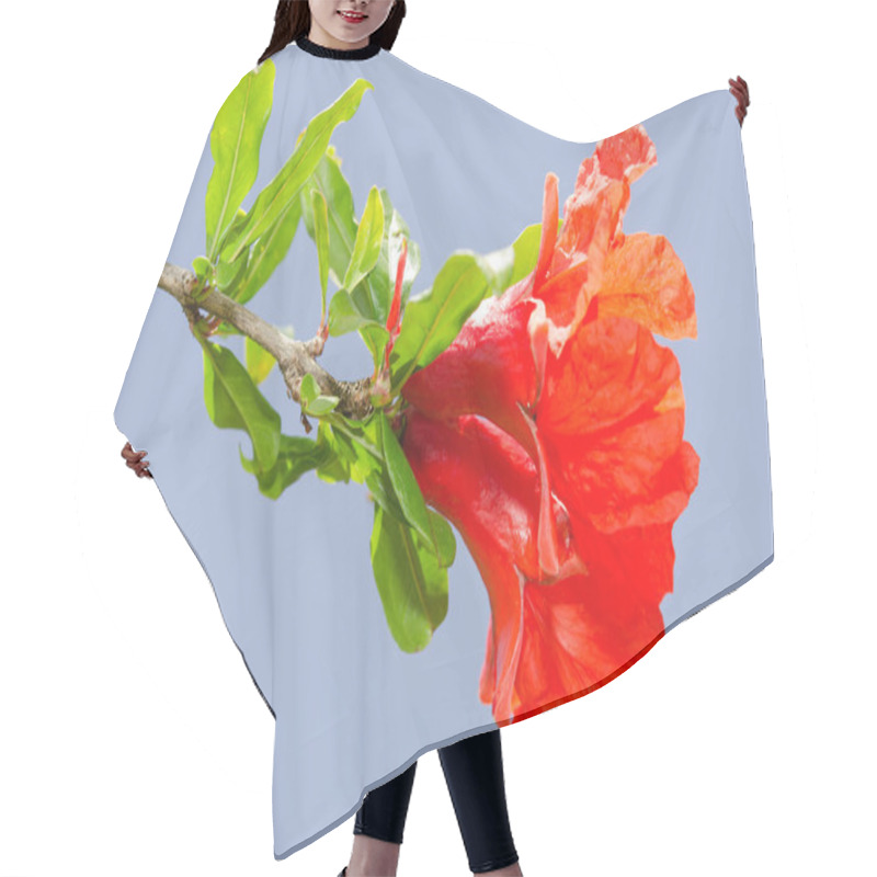 Personality  Pomegranate Spring Blossom Vibrant Red Flowers Hair Cutting Cape