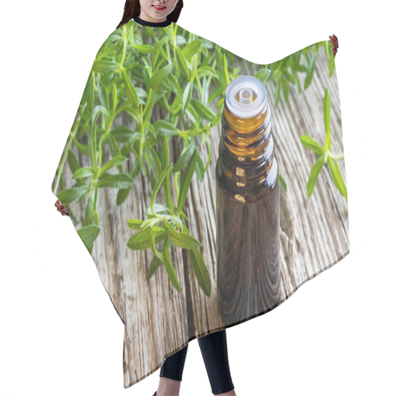 Personality  A Bottle Of Mountain Savory Essential Oil With Fresh Satureja Montana Plant Hair Cutting Cape