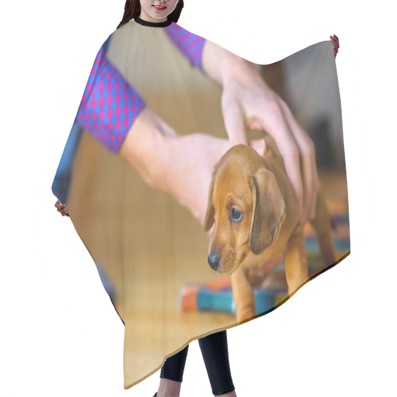 Personality  2018 Year Of The Dog Hair Cutting Cape