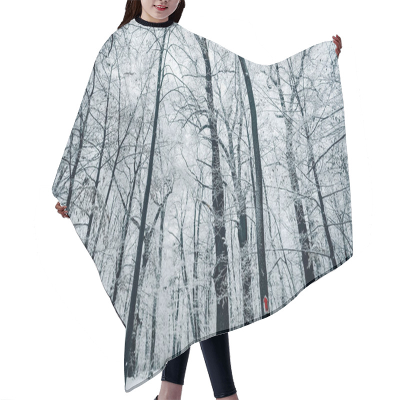 Personality  Tranquil Winter Forest Under White Cloudy Sky Hair Cutting Cape