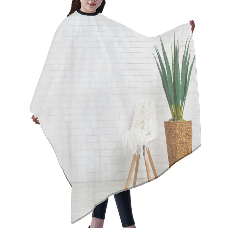 Personality  Home Plant And Chair On White Background, Copy Space Hair Cutting Cape