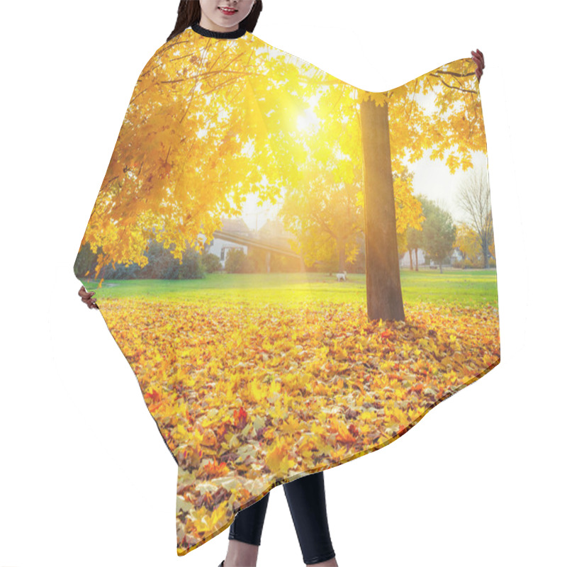 Personality  Sunny Autumn Foliage Hair Cutting Cape