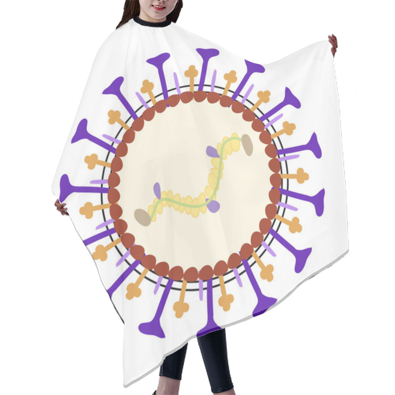 Personality  Vector Diagram Of Human Metapneumovirus HMPV Showing Its Structure, Including Surface Proteins, Lipid Envelope, And RNA Genome. Hair Cutting Cape