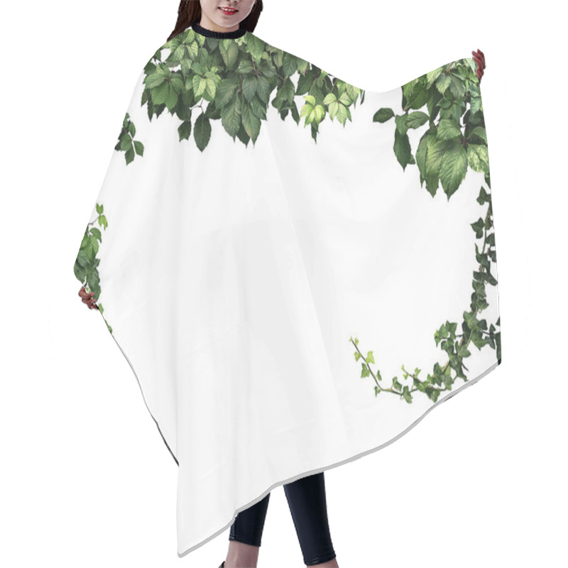 Personality  Frame Of The Climbing Plant Isolated On White Background Hair Cutting Cape