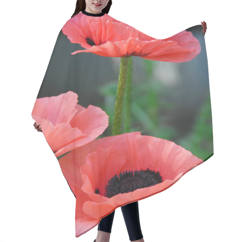 Personality  Poppies Hair Cutting Cape