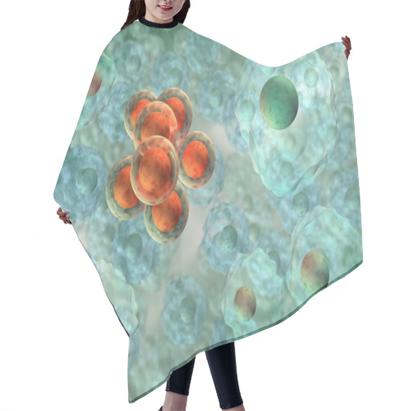 Personality  Transformed Eukaryotic Cells Hair Cutting Cape