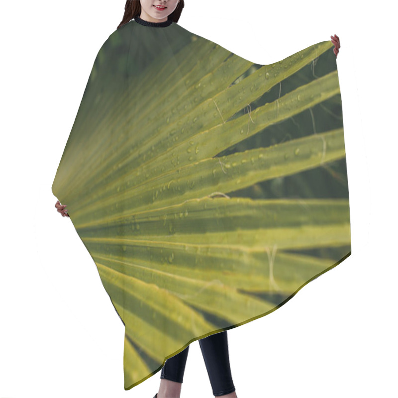 Personality  Close Up Of Wet And Green Palm Leaf  Hair Cutting Cape