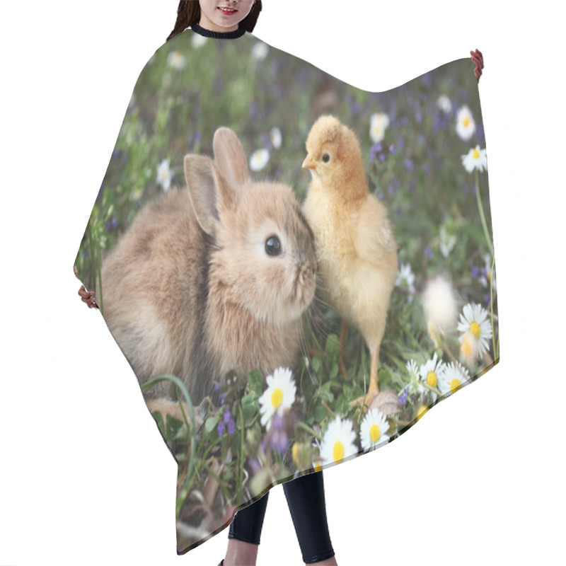 Personality  Little Rabbit With Chicken Hair Cutting Cape