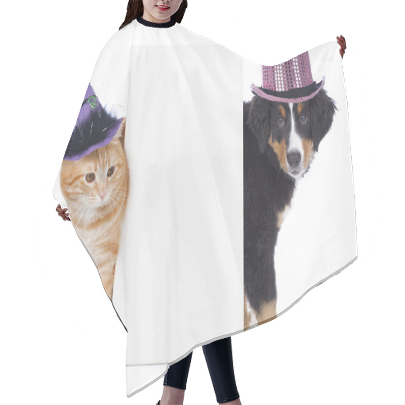 Personality  Cat And Dog With Funny Hats Hair Cutting Cape