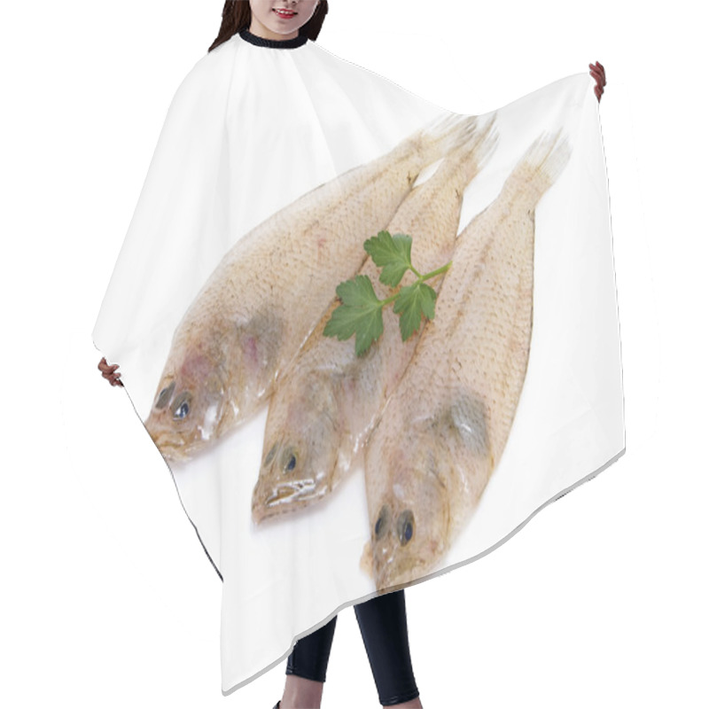 Personality  Fishes Hair Cutting Cape