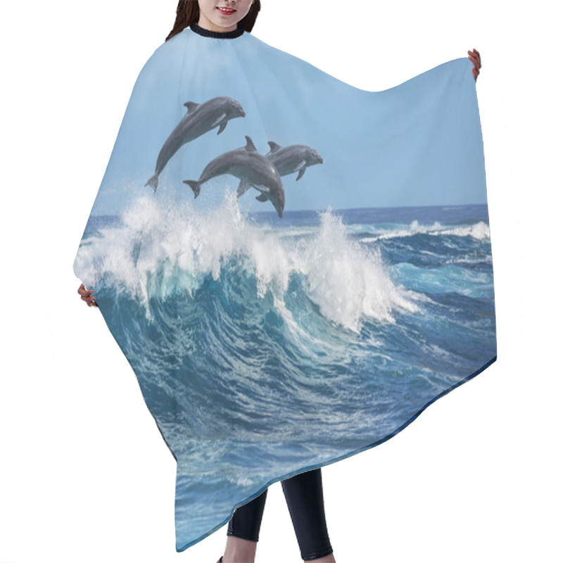 Personality  Beautiful Dolphins In Ocean Hair Cutting Cape