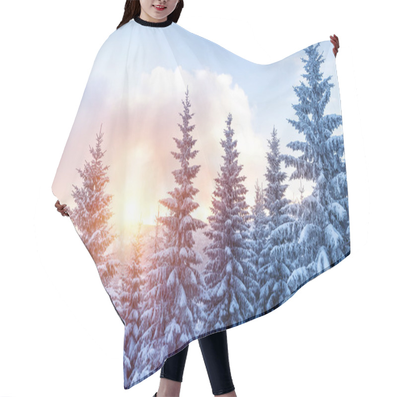 Personality  Beautiful Winter Forest Hair Cutting Cape