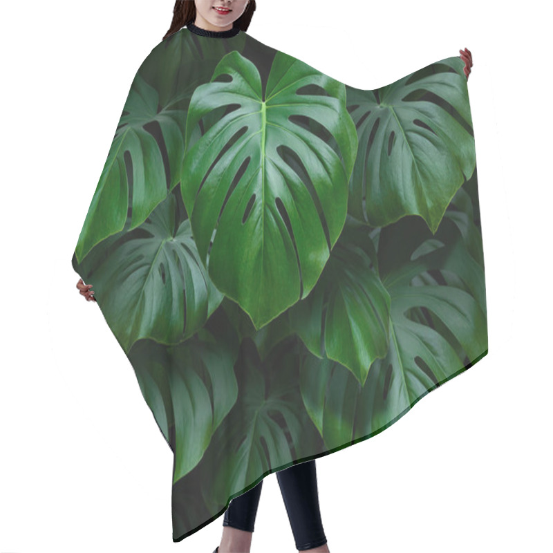 Personality  Large Green Monstera Leaves On A Dark Background Hair Cutting Cape