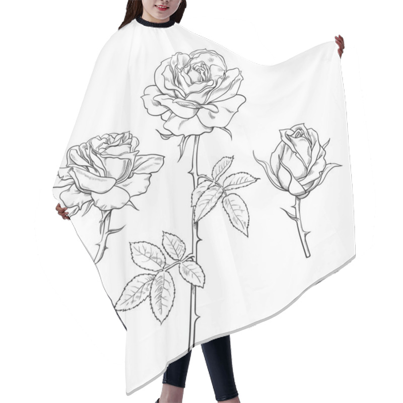 Personality  Rose Flower Set. Hand Drawn Realistic Open Rosebuds. Vector Illustration. Hair Cutting Cape