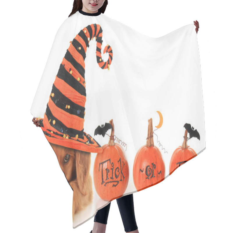 Personality  Halloween Puppy Hair Cutting Cape