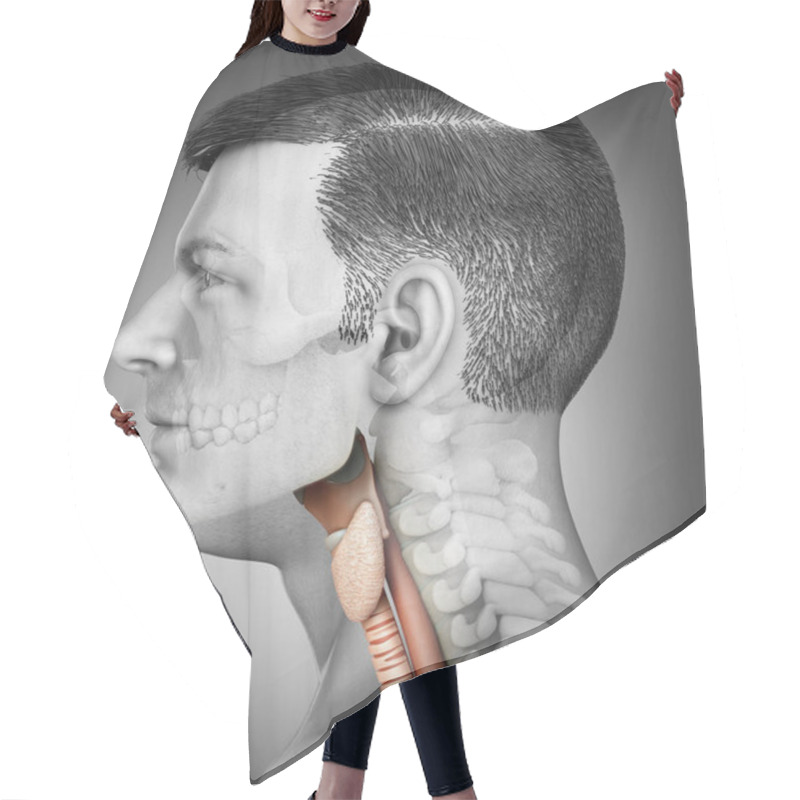 Personality  3d Rendered Medically Accurate Illustration Of The Male Larynx Anatomy  Hair Cutting Cape