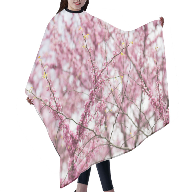 Personality  Cherry Blossom In April Hair Cutting Cape