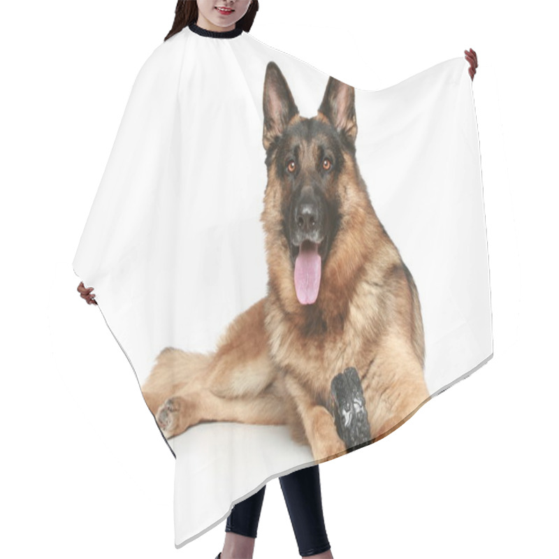 Personality  German Shepherd Dog With A Toy On A White Background Hair Cutting Cape