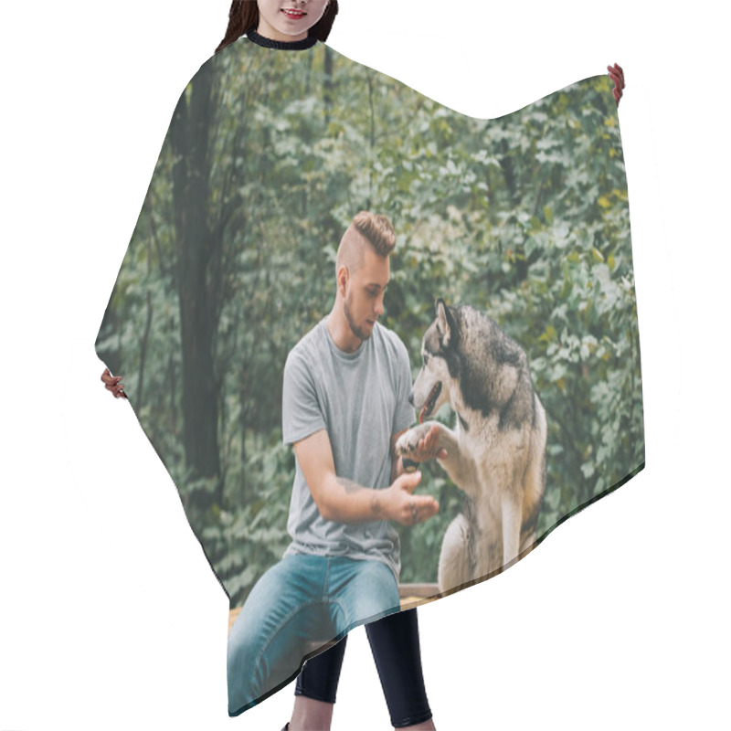 Personality  Handsome Man Holding Paw Of Obedient Siberian Husky Dog Hair Cutting Cape