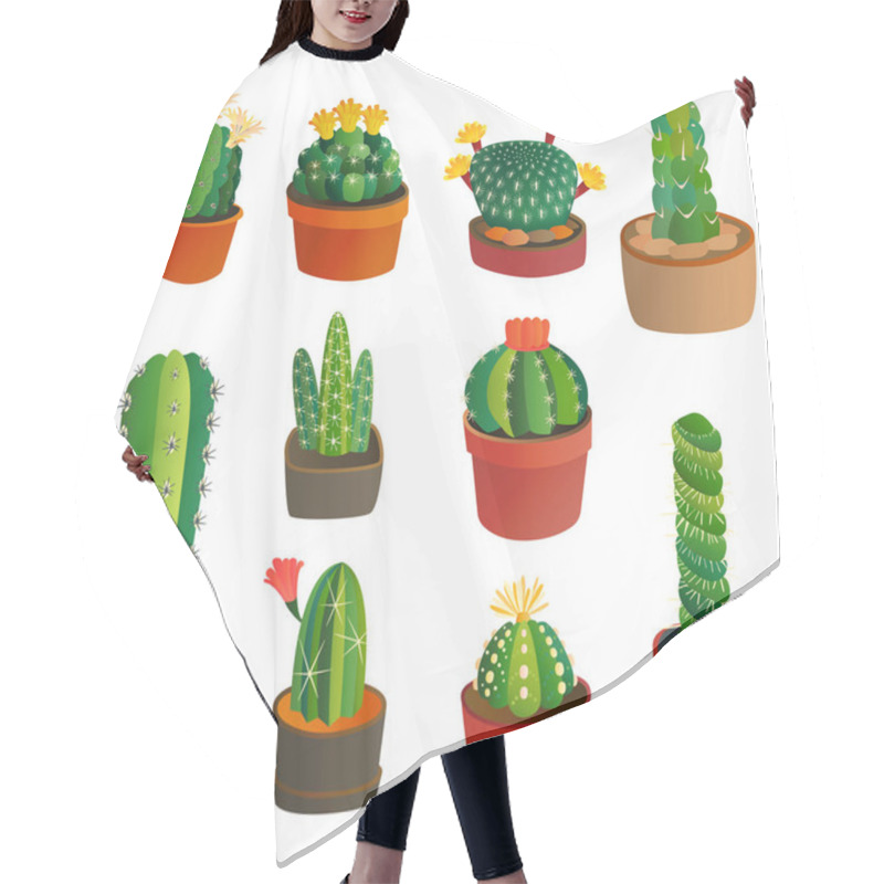 Personality  Cactus Flat Style Nature Desert Flower Green Cartoon Drawing Graphic Mexican Succulent And Tropical Plant Garden Art Cacti Floral Vector Illustration. Hair Cutting Cape