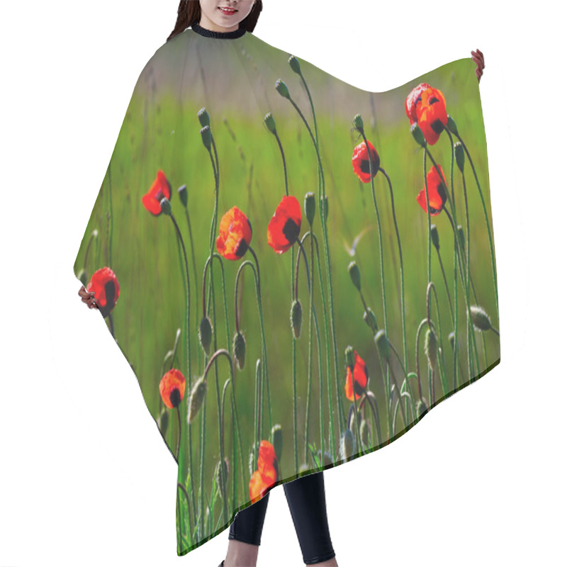 Personality  Red Poppies Hair Cutting Cape