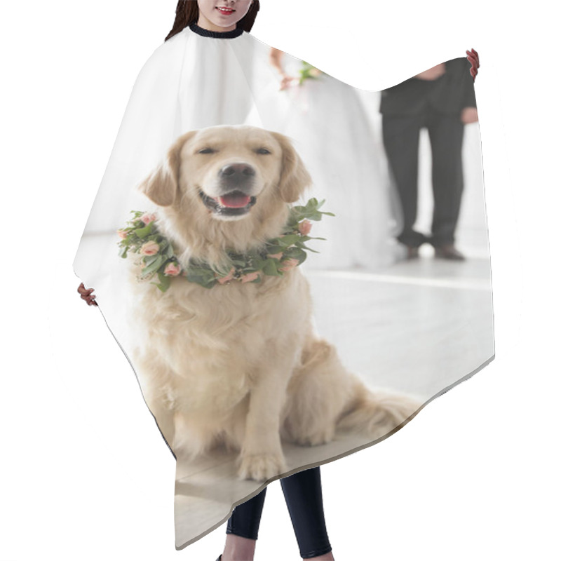 Personality  Adorable Golden Retriever Wearing Wreath Made Of Beautiful Flowers On Wedding Hair Cutting Cape