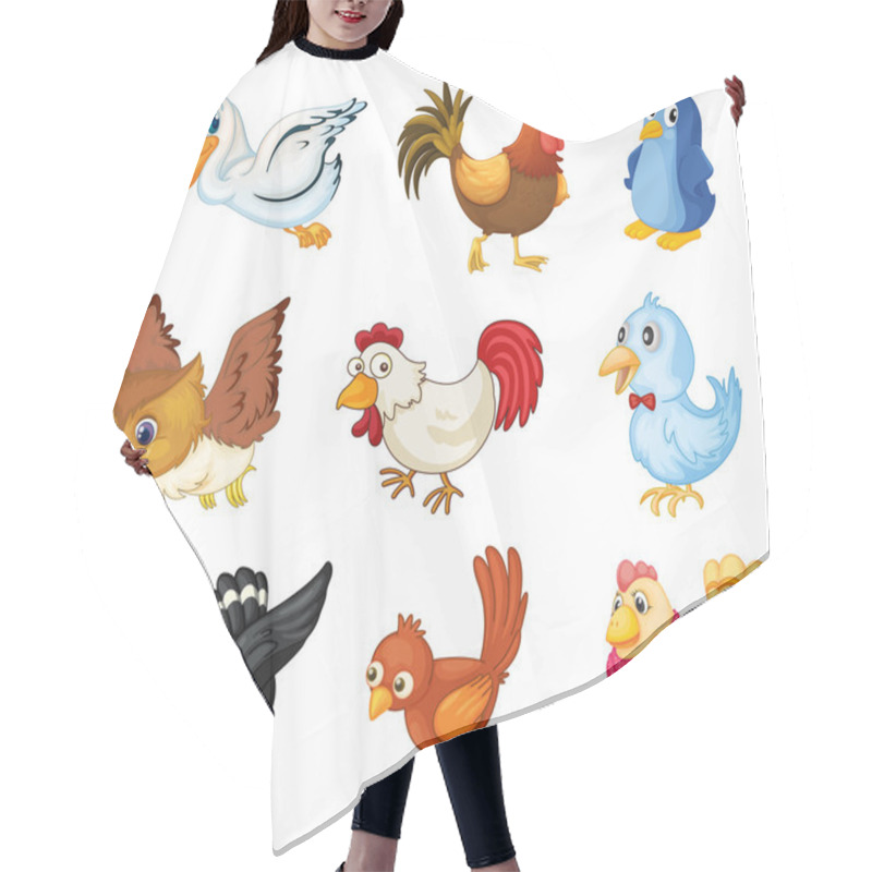 Personality  Collection Of Birds Hair Cutting Cape