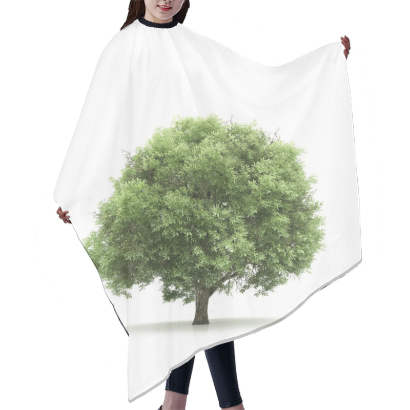 Personality  Tree Isolated On A White Background Hair Cutting Cape