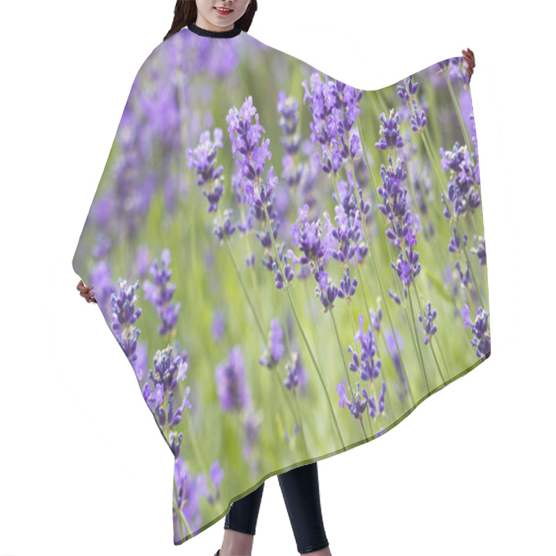 Personality  Beautiful  Bright Lavender Flowers Hair Cutting Cape