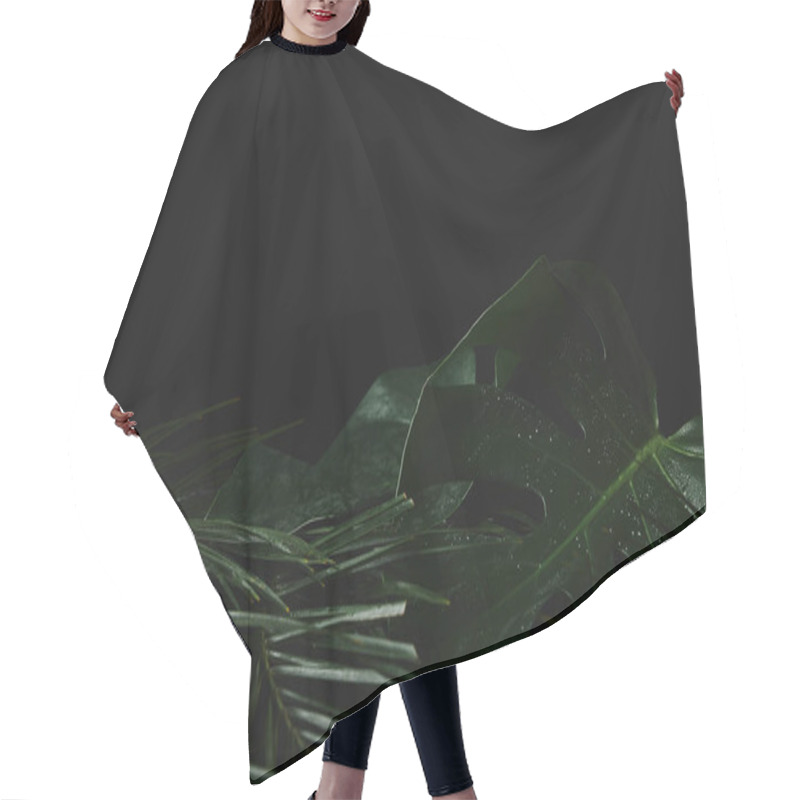 Personality  Beautiful Tropical Botanical With Fresh Green Leaves On Black  Hair Cutting Cape