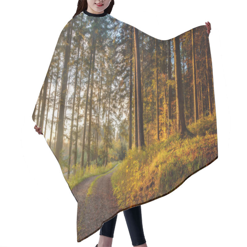 Personality  Black Forest Hair Cutting Cape