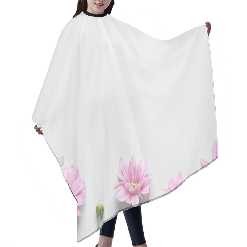 Personality  Beautiful Pink Chamomile Flowers On White Background, Flat Lay. Space For Text Hair Cutting Cape