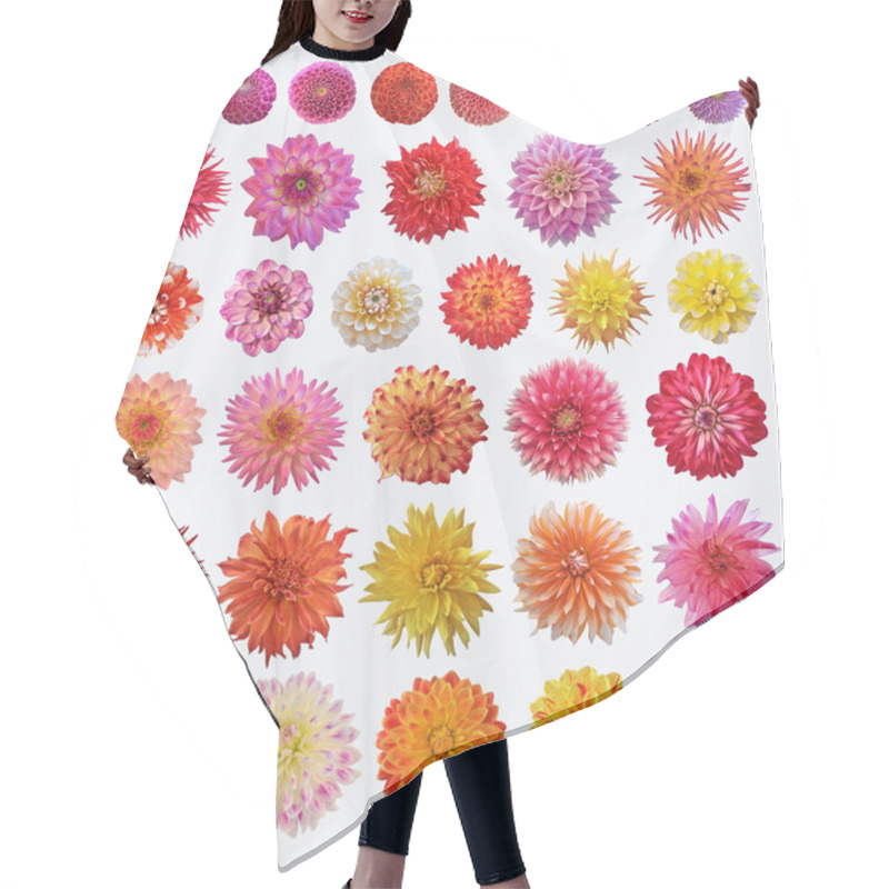 Personality  Dahlias Hair Cutting Cape