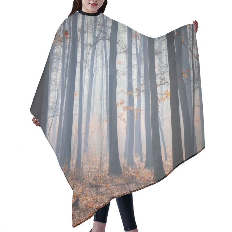 Personality  Road In A Oak Forest In Autumn Time In A Foggy Day Hair Cutting Cape