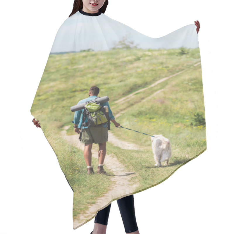 Personality  Back View Of Tourist Walking With Golden Retriever Dog On Path On Summer Meadow Hair Cutting Cape