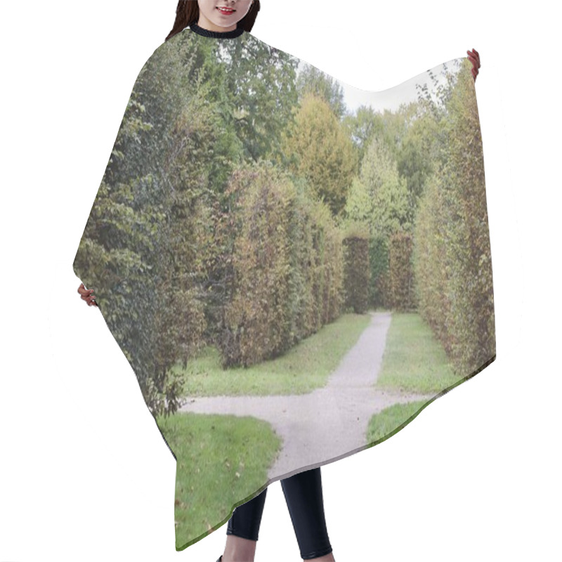 Personality  Serene Garden Pathway Between Lush Hedges In A Tranquil Park Setting With No People. High Quality Photo Hair Cutting Cape