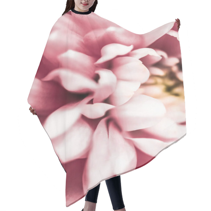 Personality  Pink Daisy Flower Petals In Bloom, Abstract Floral Blossom Art B Hair Cutting Cape