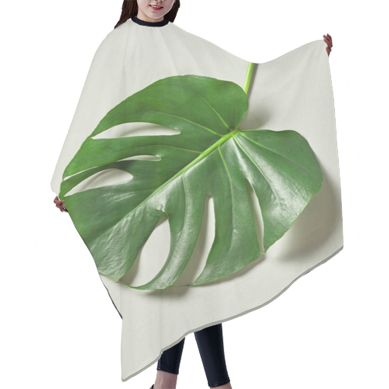 Personality  Tropical Leaf Of Monstera Plant Hair Cutting Cape