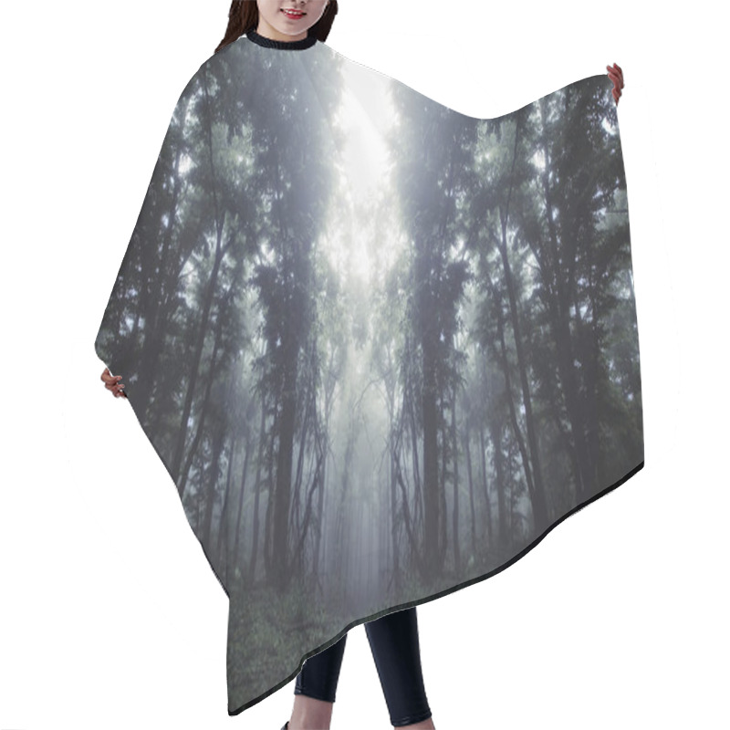 Personality  Dark Mysterious Surreal Forest Background Hair Cutting Cape