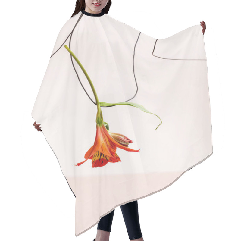 Personality  Floral Composition With Red Alstroemeria On Wire Isolated On Beige Hair Cutting Cape