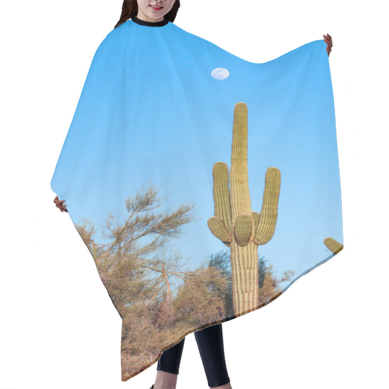 Personality  Scottsdale Saguaro Standing With The Moon Hair Cutting Cape