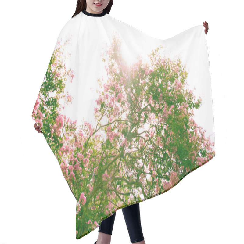 Personality  Pink Oleander Bush As The Background Of Retro Hair Cutting Cape