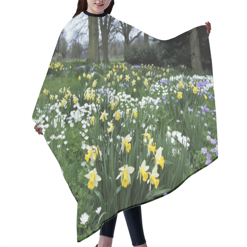 Personality  Spring In A Woodland Flower Garden With Daffodils Hair Cutting Cape