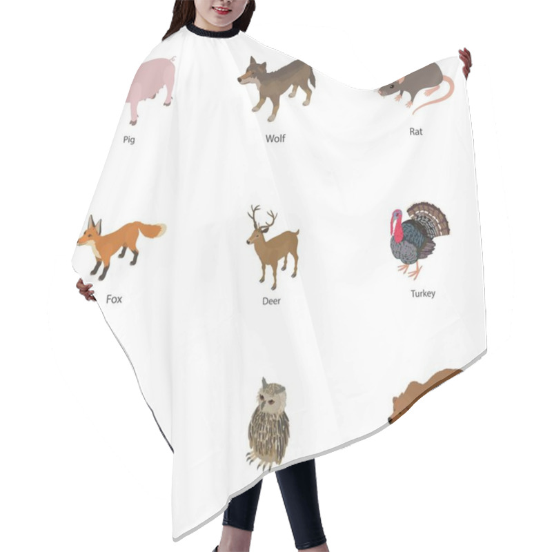 Personality  Domesticated Animal Icons Set, Isometric Style Hair Cutting Cape