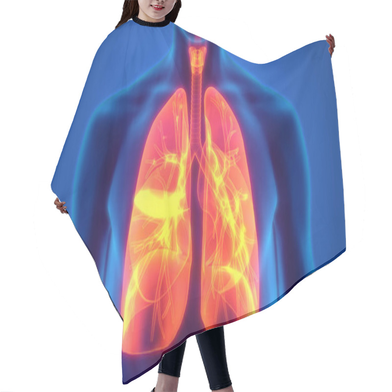 Personality  Human Respiratory System Lungs Anatomy. 3D  Hair Cutting Cape