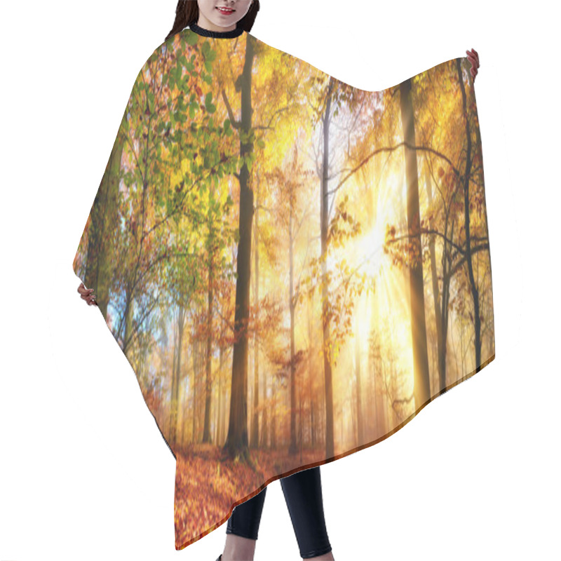 Personality  Gold Sunrays In A Misty Autumn Forest Hair Cutting Cape