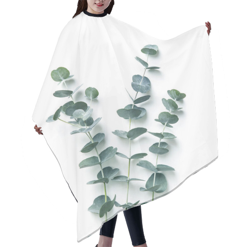 Personality  Eucalyptus Isolated On A White Background Hair Cutting Cape