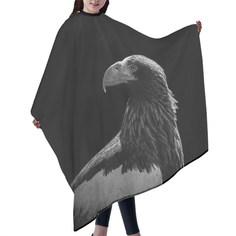 Personality  Portrait Of Eagle On Black Background Hair Cutting Cape