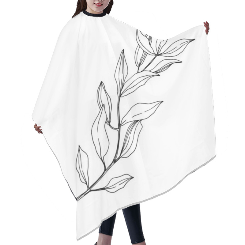 Personality  Vector Eucalyptus Tree Leaves. Black And White Engraved Ink Art. Isolated Eucalyptus Illustration Element. Hair Cutting Cape