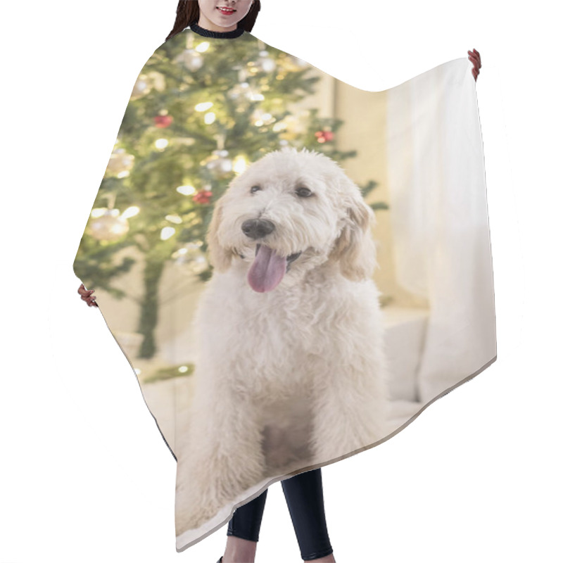 Personality  Happy Dog Sitting In Front Of Christmas Tree Hair Cutting Cape